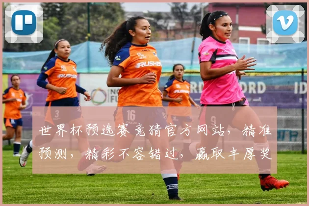 世界杯预选赛竞猜官方网站，精准预测，精彩不容错过，赢取丰厚奖金