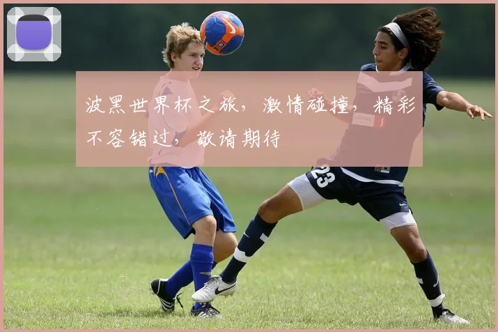 波黑世界杯之旅，激情碰撞，精彩不容错过，敬请期待