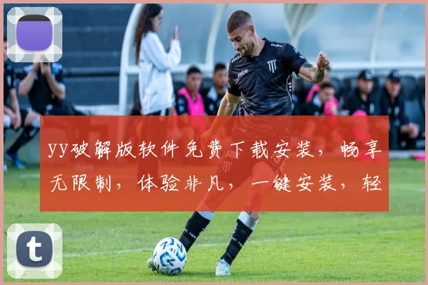 yy破解版软件免费下载安装，畅享无限制，体验非凡，一键安装，轻松拥有